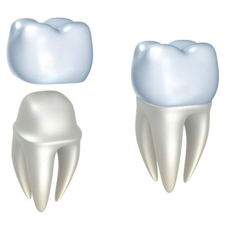 tooth graphic